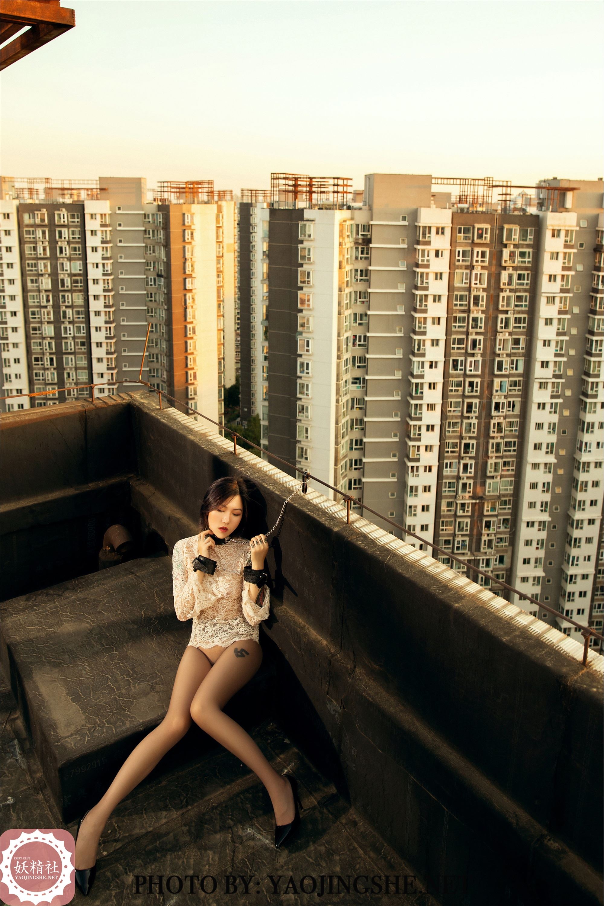 妖精社  2020.01.15 V2003 菊花 《谁困住了我的菊花》